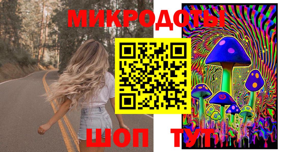Псилоцибиновые грибы Cubensis Аргун
