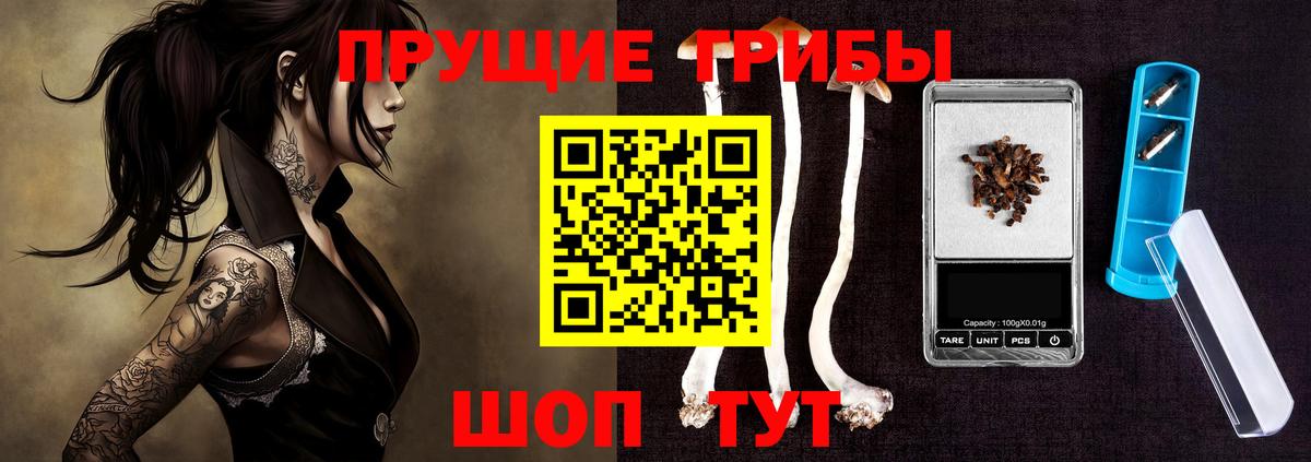 Аргун  Галлюциногенные грибы Psilocybine cubensis  Вход с VPN 
